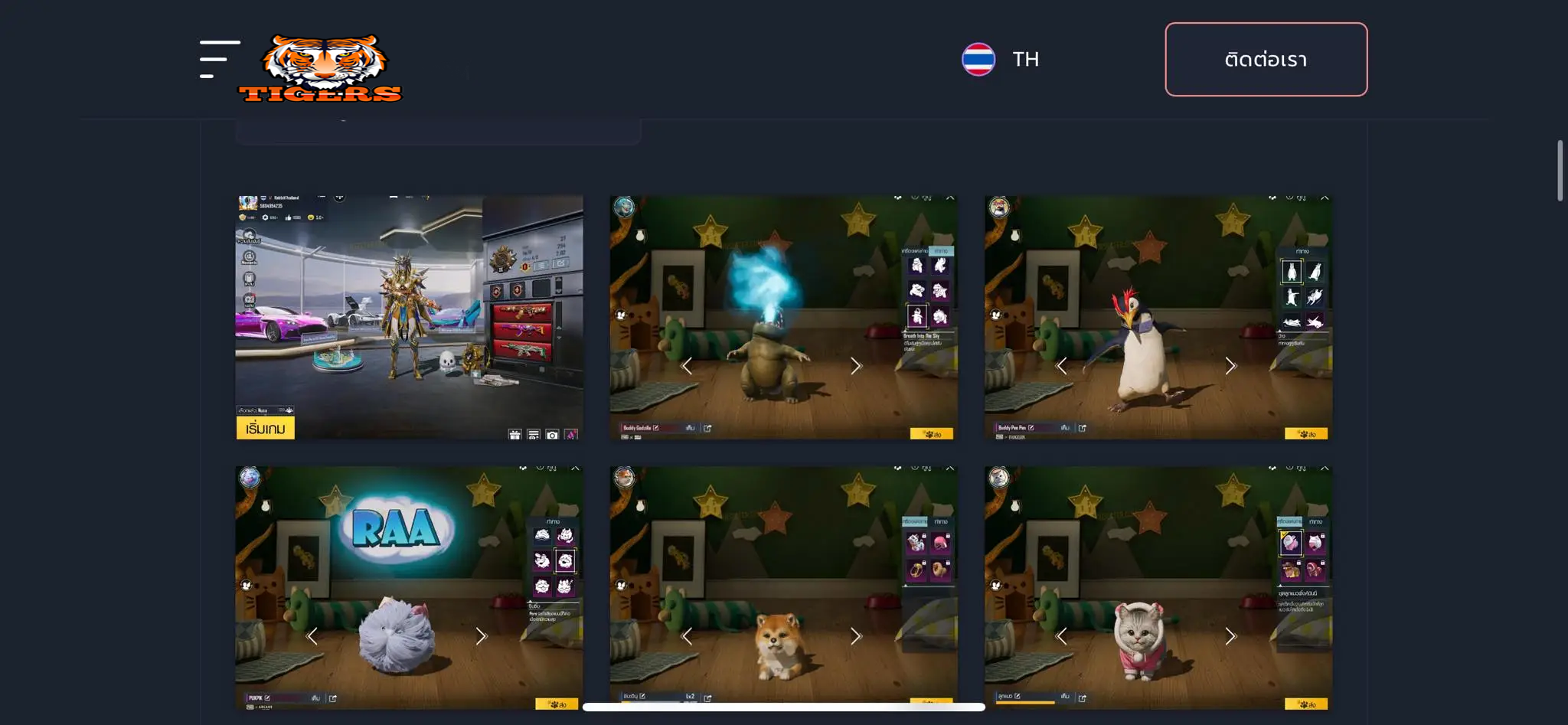 รูปภาพเครดิต TIGERS-GAME.SHOP